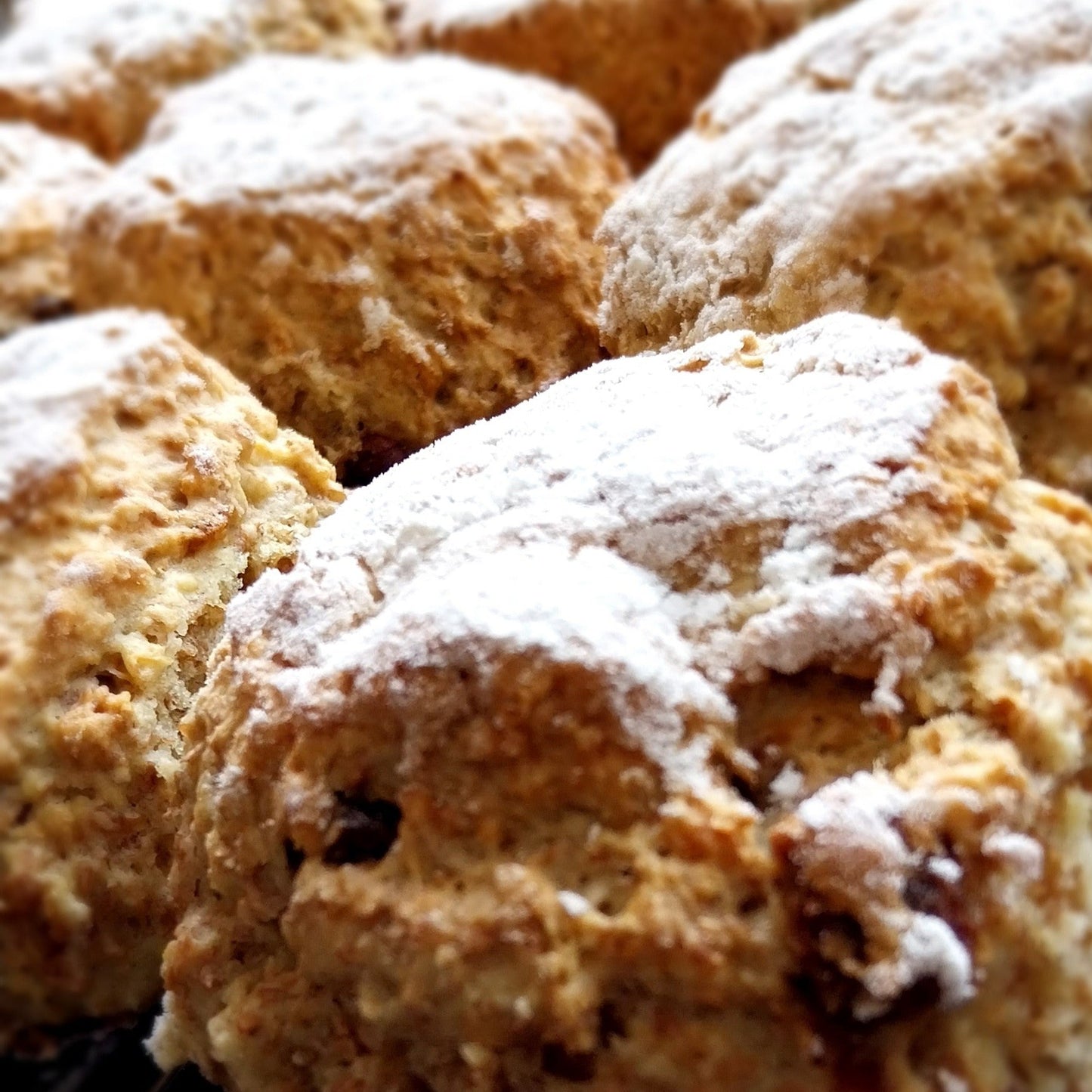 Date & Wheaten scones - made with moist chopped dates and locally sourced flours & buttermilk